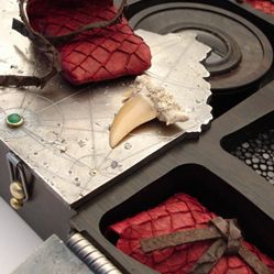 Case of curiosities by John Field