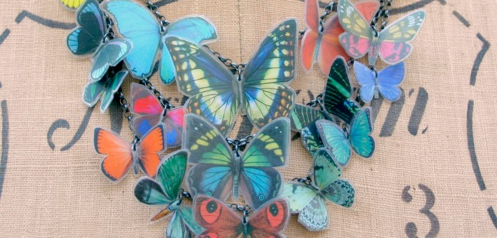 grainne butterfly nk